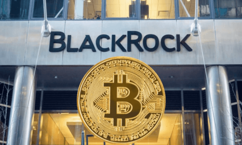 Биткоин-ETF BlackRock потерял 8 млн, что стало вторым по величине суточным оттоком средств за всю историю наблюдений